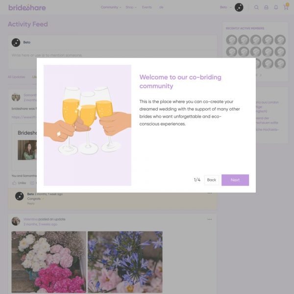 Introduccion a plataforma brideshare