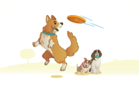 Lucky Dog perro brincando de felicidad