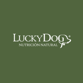 Diseño de identidad visual para Lucky Dog con fondo obscuro
