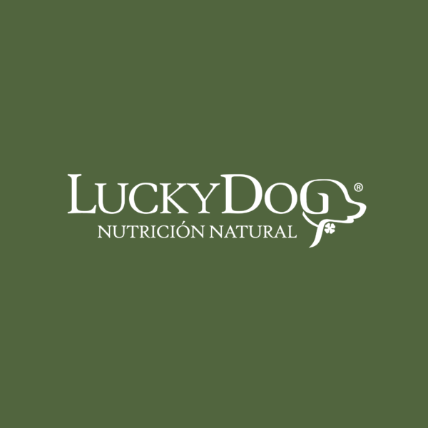 Diseño de identidad visual para Lucky Dog con fondo obscuro